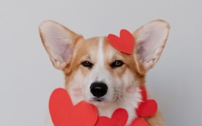 ホリスティックな養生法とは？