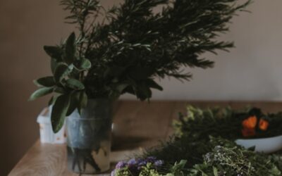 植物療法で自然の力を取り入れる