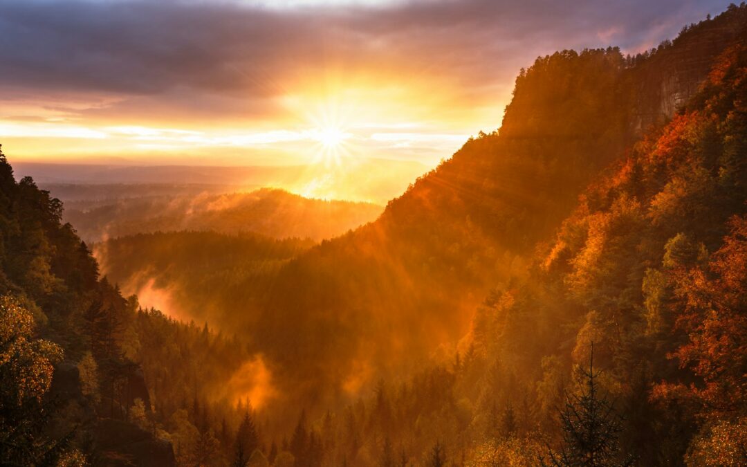 mountains and tree range during golden hour