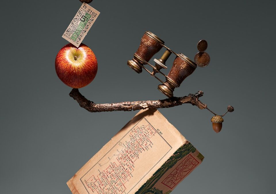 red apple fruit on brown wooden stick