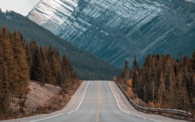真の健康を求める道