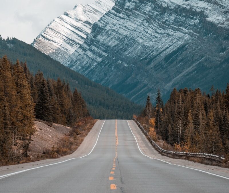 gray concrete road between trees near mountain