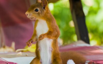 意識を向けた先に現実が変わる