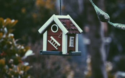 住まいと心のつながり:癒しの空間をデザインする