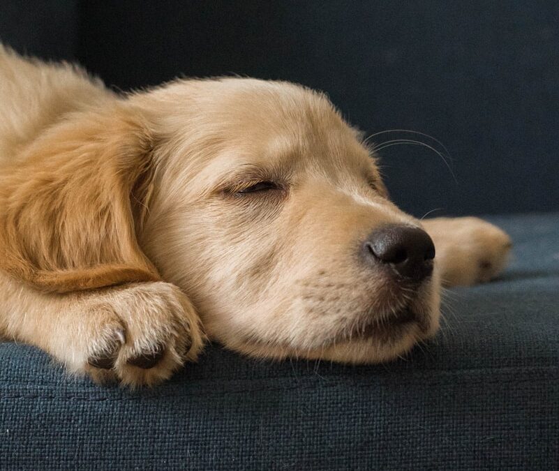 質の良い睡眠をとるコツ