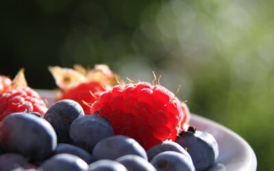 食べることは内なる癒しの儀式