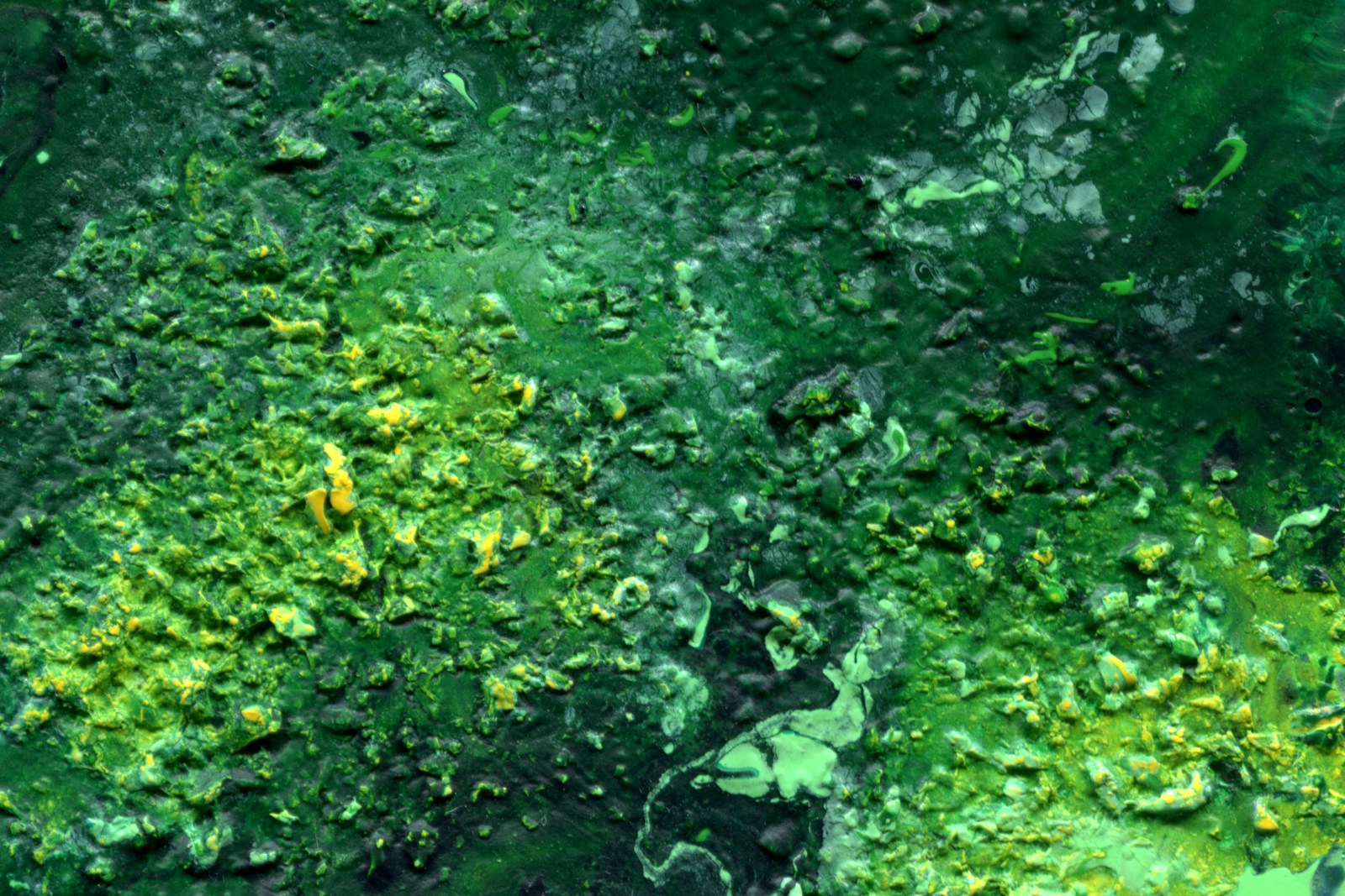 a body of water with plants and rocks