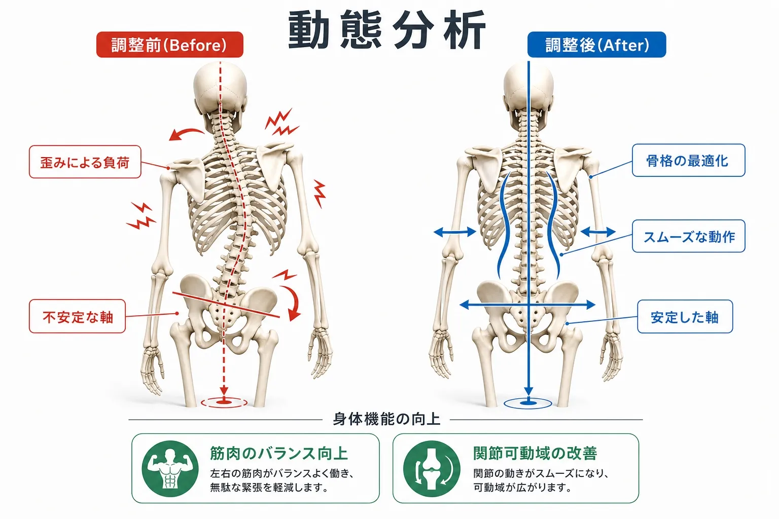 身体全体のバランスと骨格の連動性